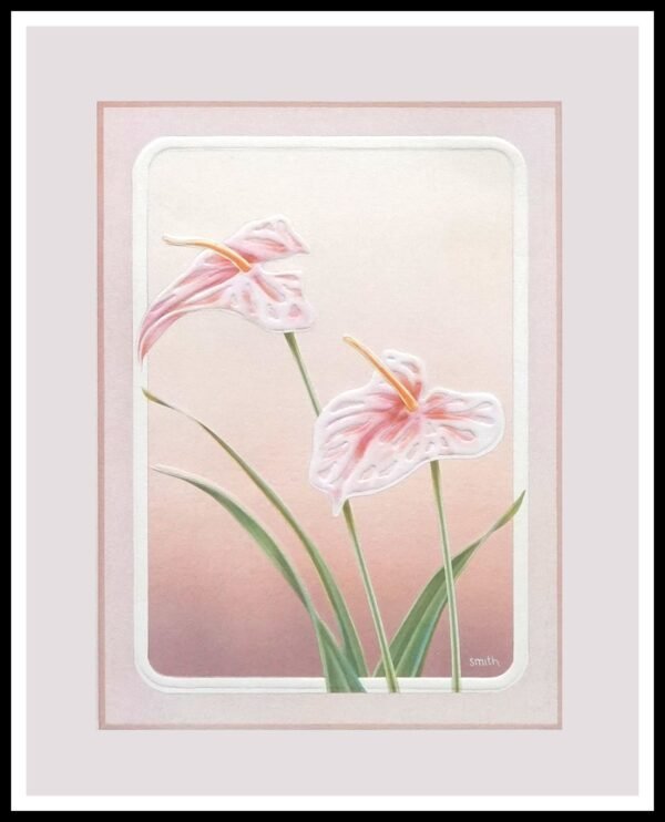 DDG SM401 Antheriums